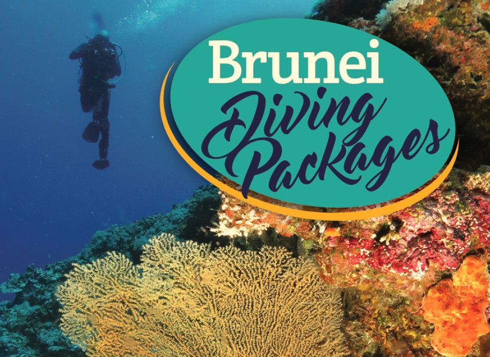 Diving in Brunei